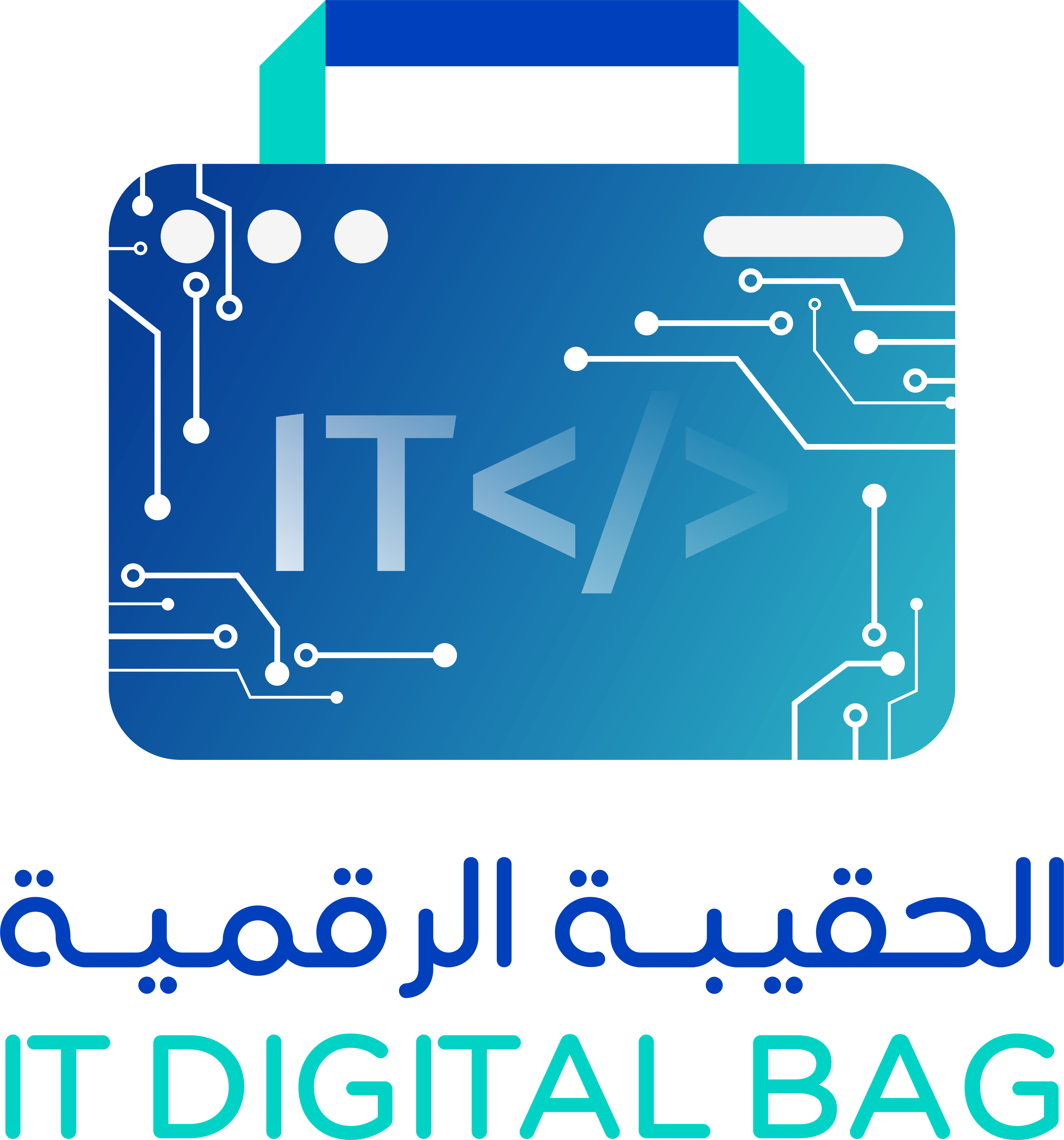 IT DIGITAL BAG